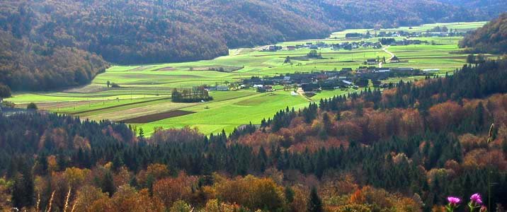 Globodolsko polje v vzhodni Suhi krajini je med najmanjšimi kraškimi polji v Sloveniji. Foto Jože Avbar.