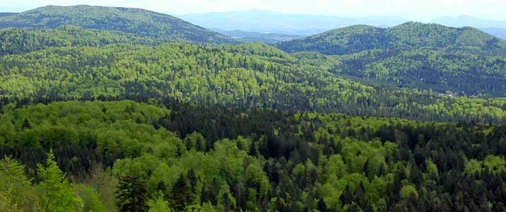 Kočevski rog, visoka kraška planota. Foto Andrej Hudoklin.