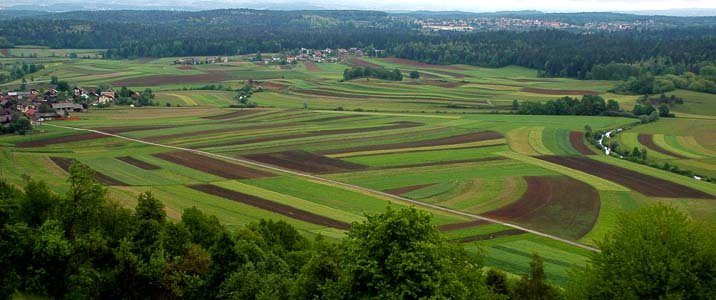 Belokranjski ravnik pri Dobličah. Foto Andrej Hudoklin. Belokranjski ravnik pri Dobličah. Foto Andrej Hudoklin.