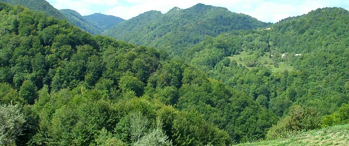 Zasavsko hribovje z najvišjim vrhom Kumom v ozadju. Foto Borivoj Ladišić.