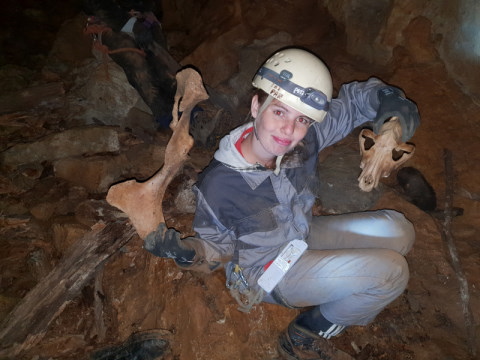 V jami je nekaj kosti poginulih živali.